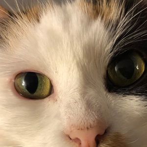 Meet your Posher, Cindy